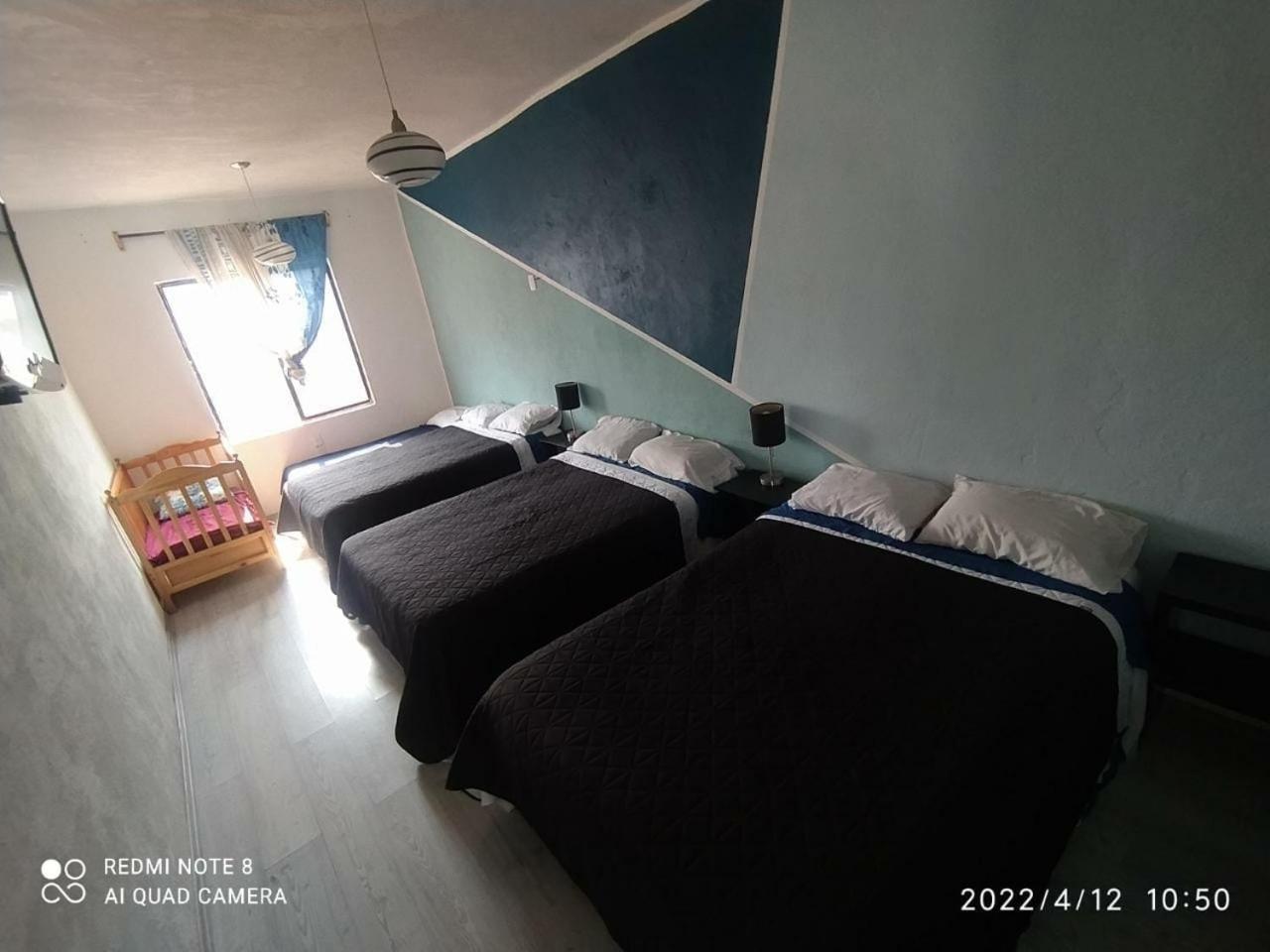 Hotel Vithez 坦皮科 外观 照片